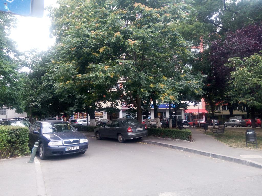 Apartament Dana Букурещ Екстериор снимка