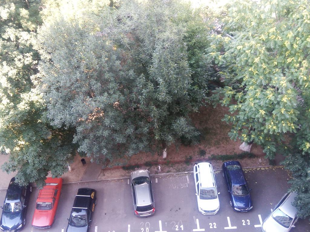 Apartament Dana Букурещ Екстериор снимка